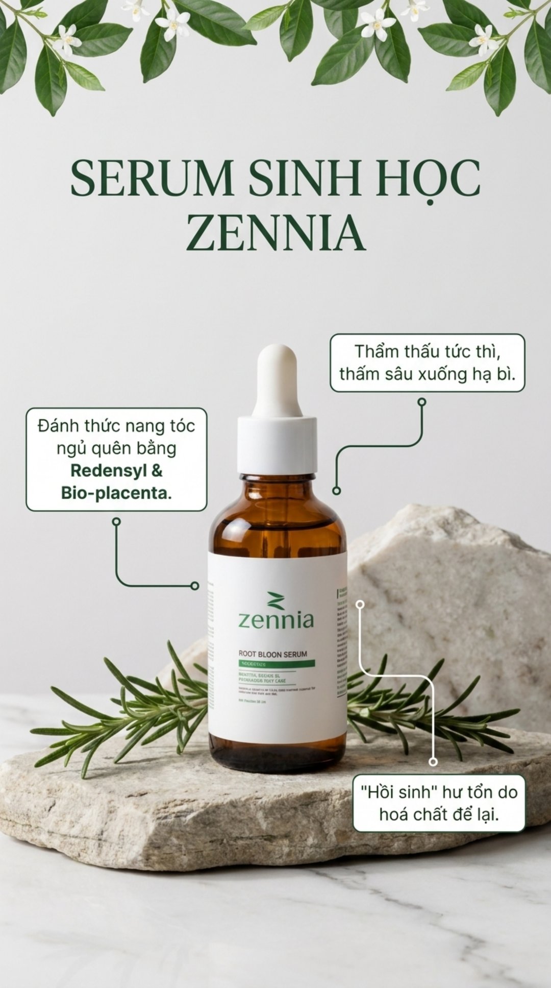 Zennia Serum Sinh Học reveal
