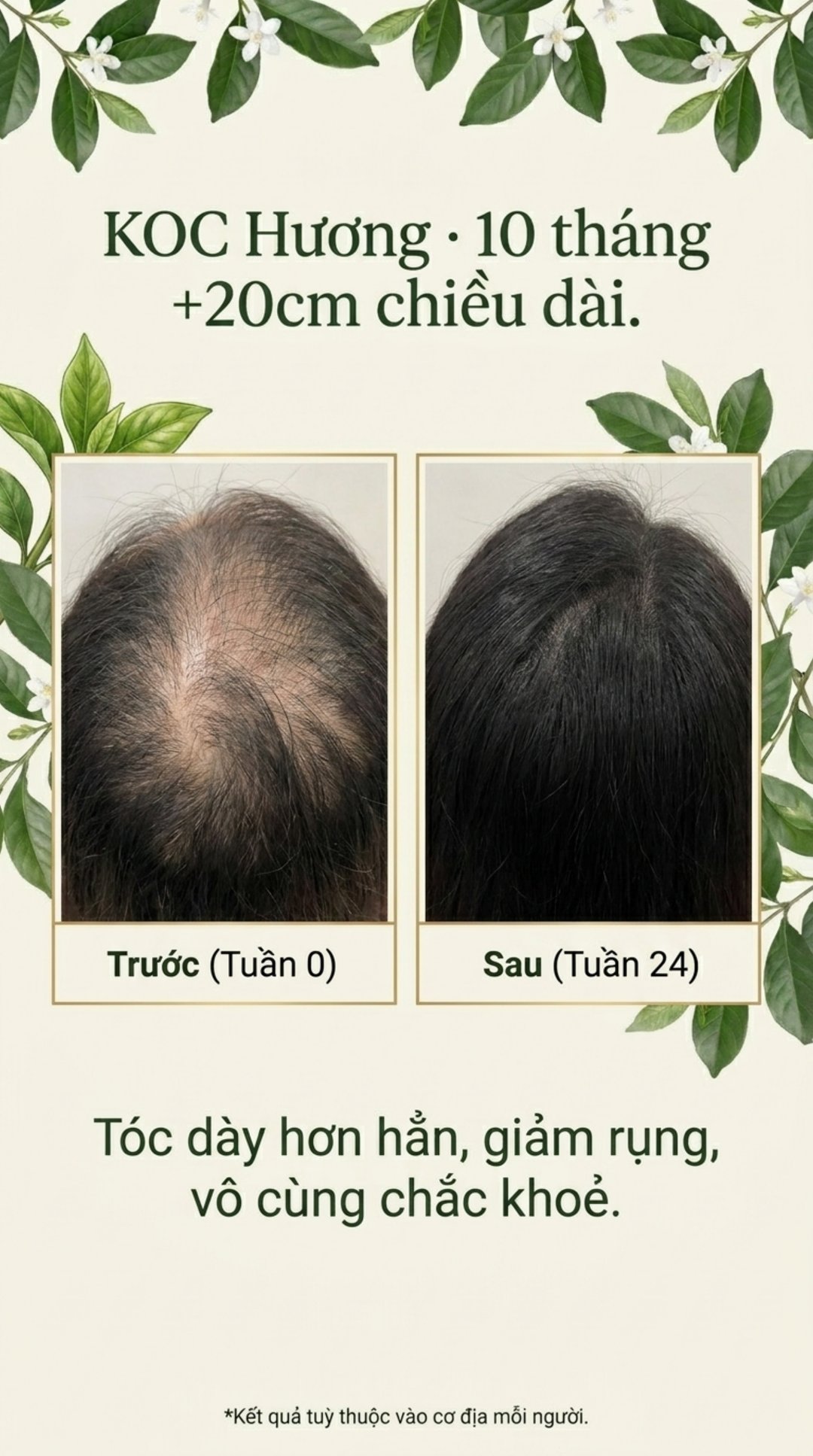 Bằng chứng KOC